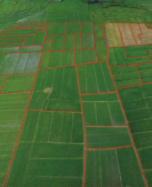 Field parcels with marked boundaries