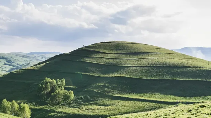 Green hills
