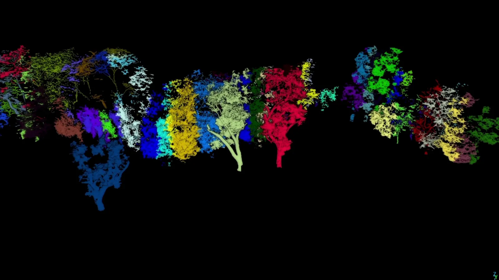 Individually segmented trees from the point cloud
