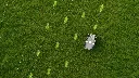 3 RM21P.webp